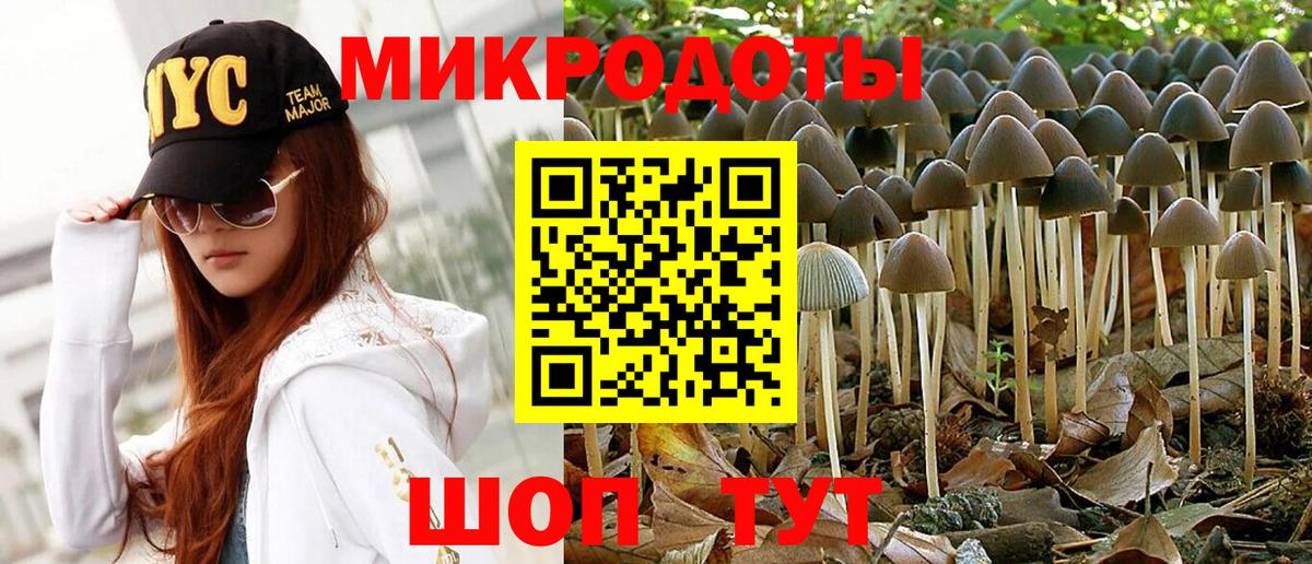 Псилоцибиновые грибы мицелий Ростов Великий