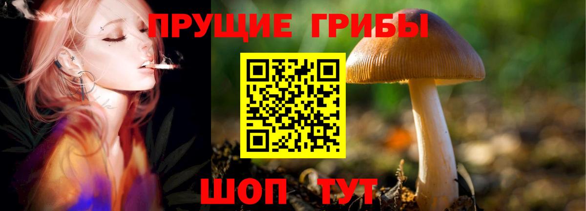 Галлюциногенные грибы GOLDEN TEACHER  Вход с VPN  Ростов Великий  что такое   Псилоцибиновые грибы Cubensis 